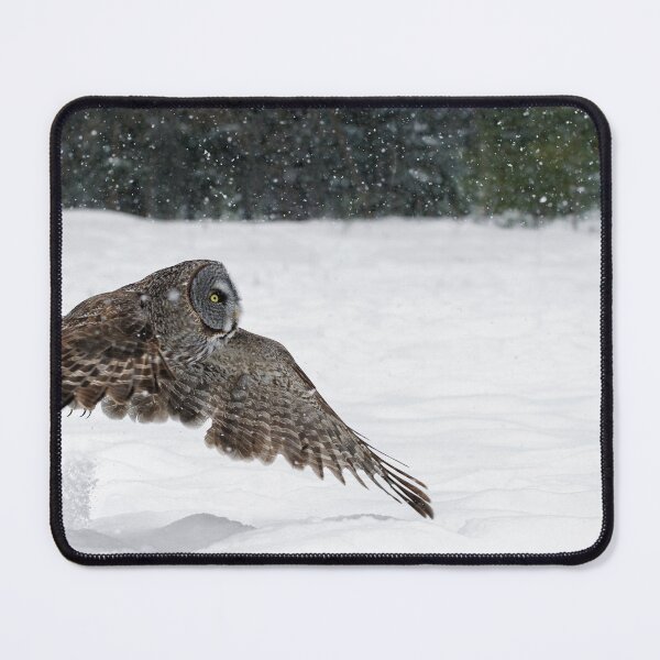 Item preview, Great Grey Owl designed and sold by Owl-Images.