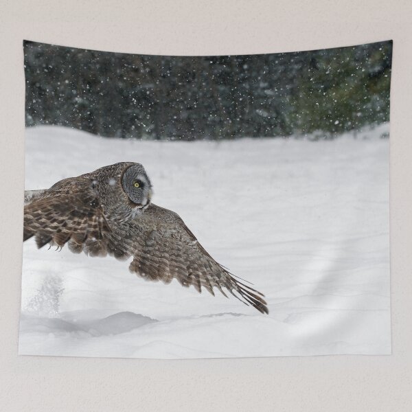 Item preview, Great Grey Owl designed and sold by Owl-Images.