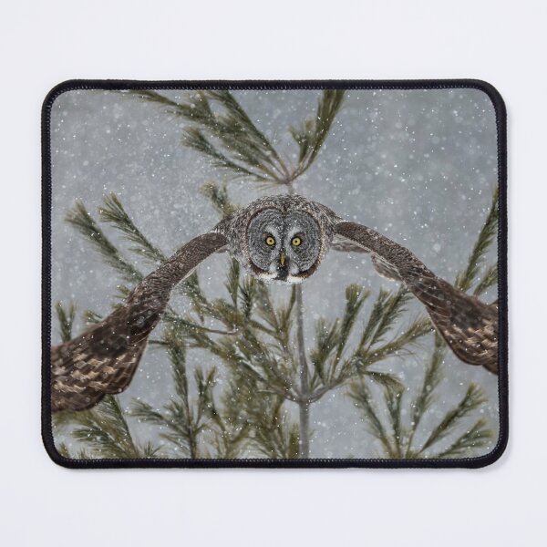 Item preview, Great Grey Owl designed and sold by Owl-Images.