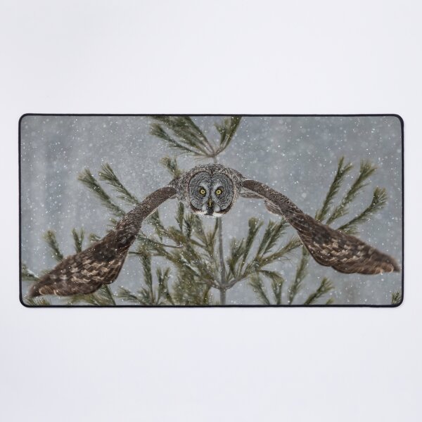 Item preview, Great Grey Owl designed and sold by Owl-Images.