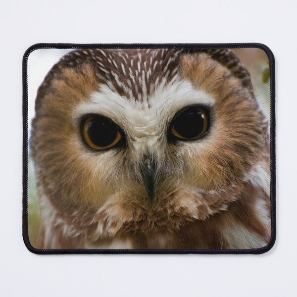 Item preview, Northern Saw-whet Owl designed and sold by Owl-Images.