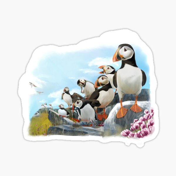 Puffins Sticker