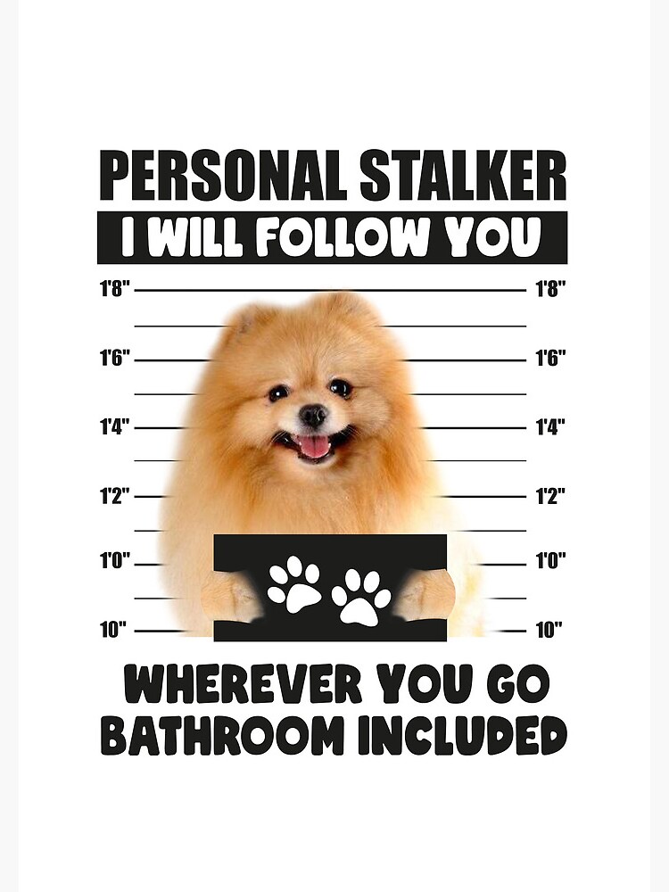 Funny Pomeranian Puppy Sayings Personal Stalker Dog Pomeranian