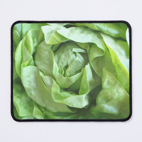 Item preview, Lettuce designed and sold by GasconyPassion.