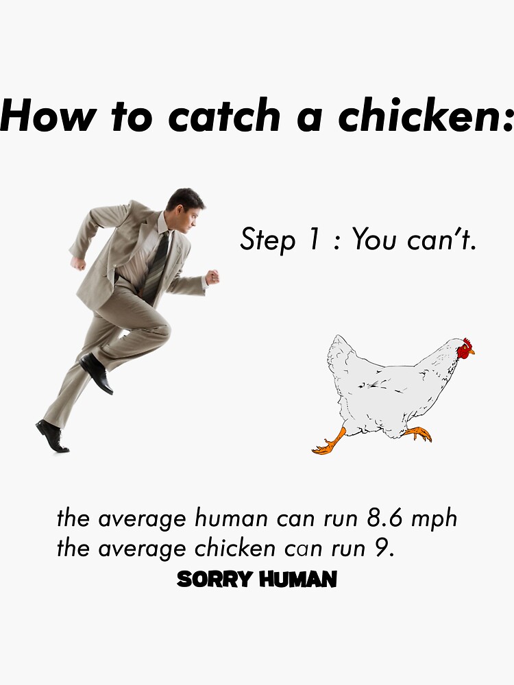 Animals Fastest Human Mph Running How Fast In Mph Can A Human Run