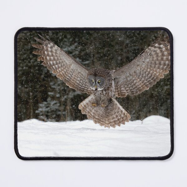 Item preview, Great Grey Owl designed and sold by Owl-Images.