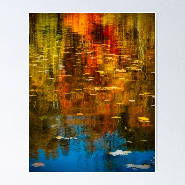 Fall Colors Poster