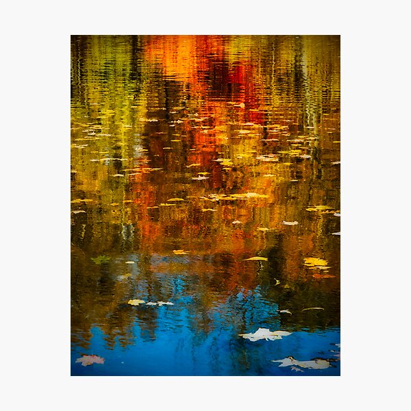 Fall Colors Photographic Print