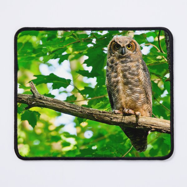 Item preview, Great Horned Owl designed and sold by Owl-Images.