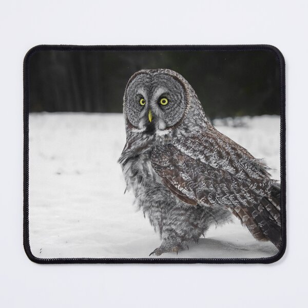 Item preview, Great Grey Owl designed and sold by Owl-Images.