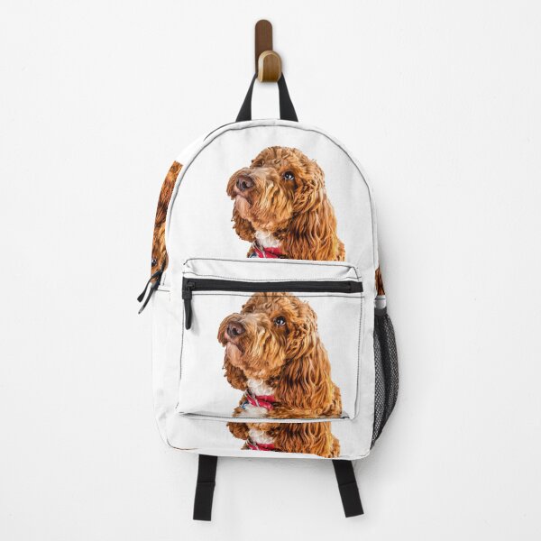 Item preview, Cockapoo Happy birthday designed and sold by Paul Thompson Photography.