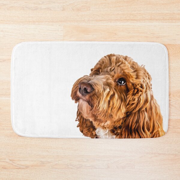 Item preview, Cockapoo Happy birthday designed and sold by Paul Thompson Photography.