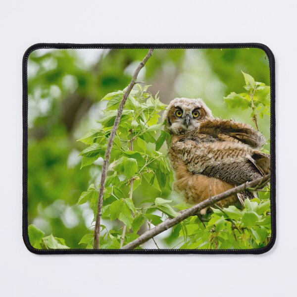 Item preview, Great Horned Owl designed and sold by Owl-Images.
