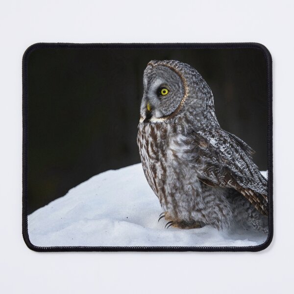 Item preview, Great Grey Owl designed and sold by Owl-Images.