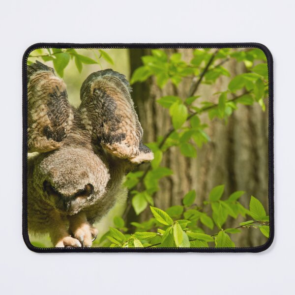 Item preview, Great Horned Owl designed and sold by Owl-Images.
