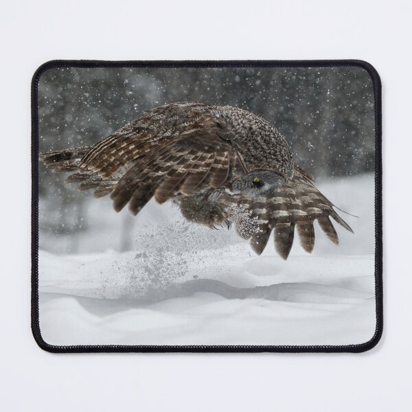 Item preview, Great Grey Owl designed and sold by Owl-Images.