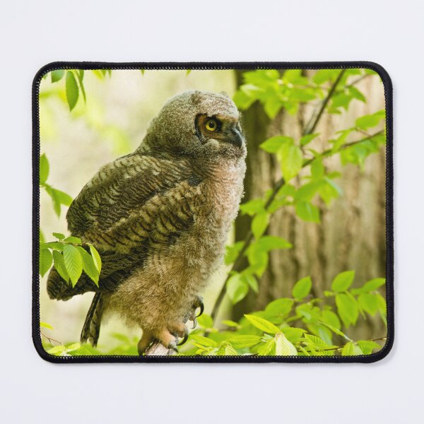 Item preview, Great Horned Owl designed and sold by Owl-Images.