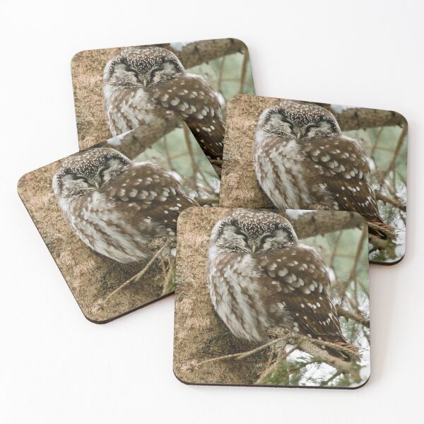 Item preview, Boreal Owl designed and sold by Owl-Images.