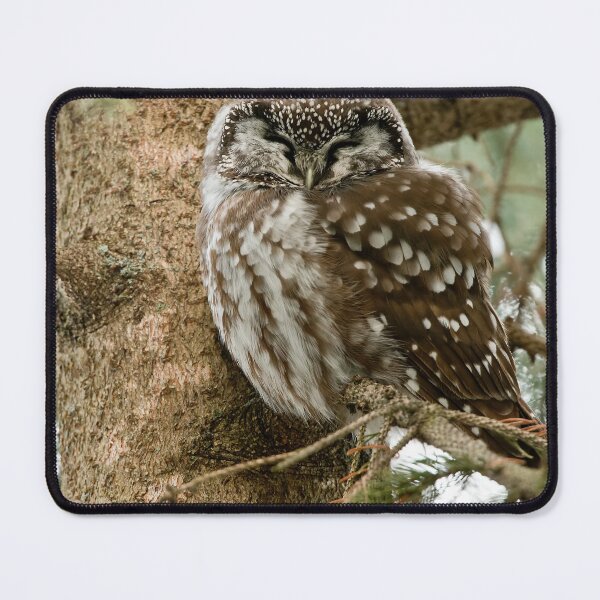 Item preview, Boreal Owl designed and sold by Owl-Images.