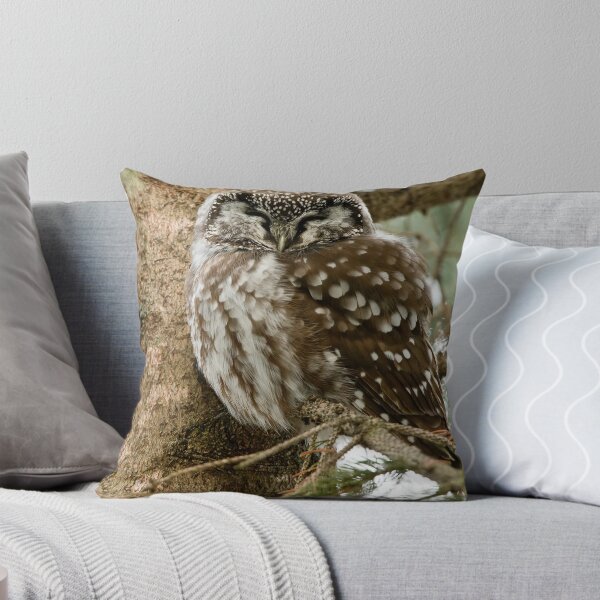 Item preview, Boreal Owl designed and sold by Owl-Images.