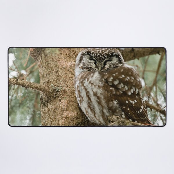 Item preview, Boreal Owl designed and sold by Owl-Images.