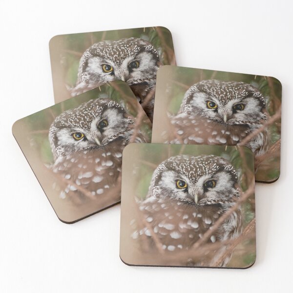 Item preview, Boreal Owl designed and sold by Owl-Images.