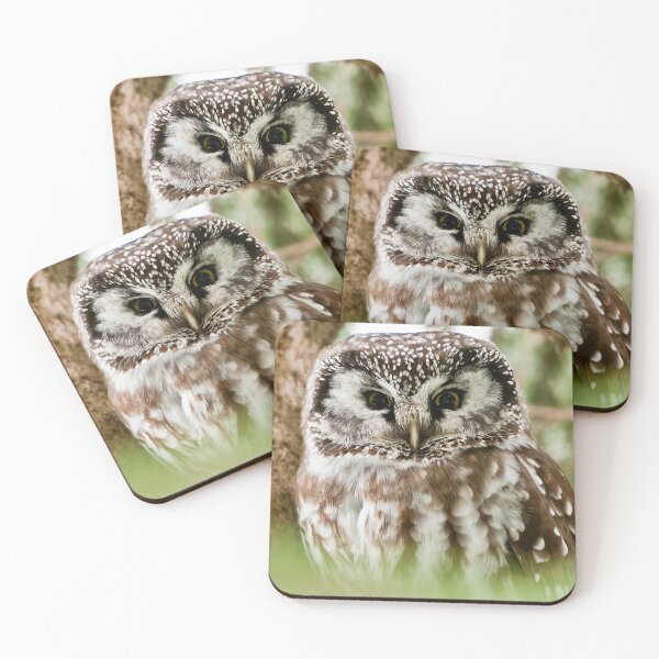Item preview, Boreal Owl designed and sold by Owl-Images.