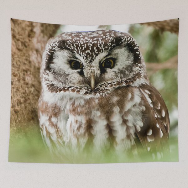 Item preview, Boreal Owl designed and sold by Owl-Images.