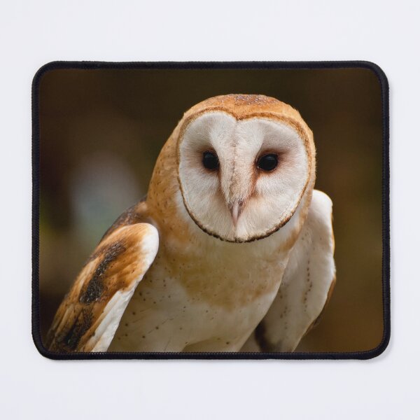 Item preview, Barn Owl designed and sold by Owl-Images.