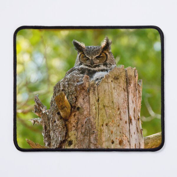 Item preview, Great Horned Owl designed and sold by Owl-Images.
