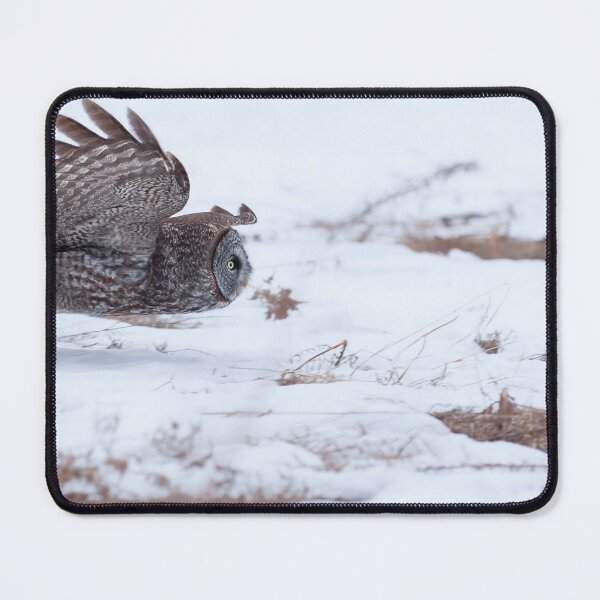 Item preview, Great Grey Owl designed and sold by Owl-Images.