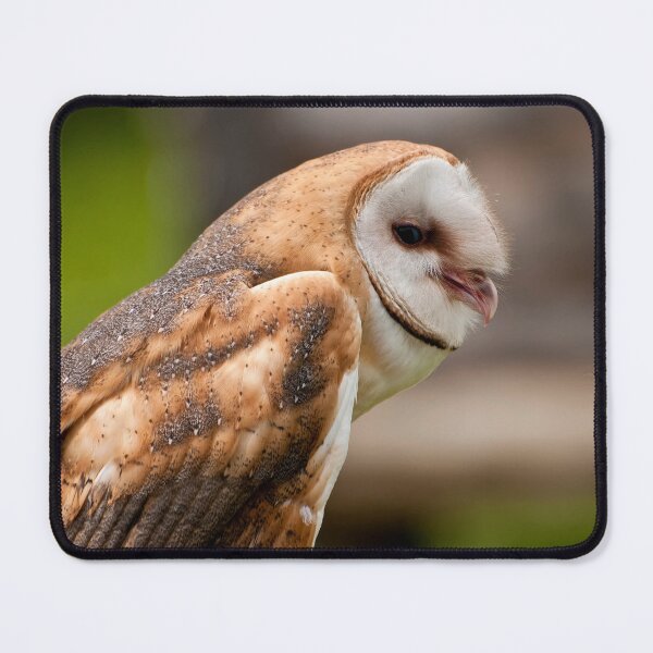Item preview, Barn Owl designed and sold by Owl-Images.