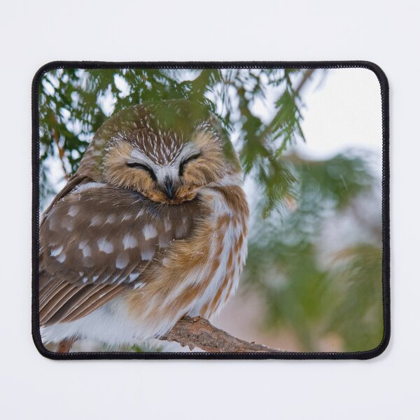 Item preview, Sleepy Time designed and sold by Owl-Images.
