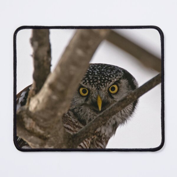 Item preview, Whooooose There designed and sold by Owl-Images.