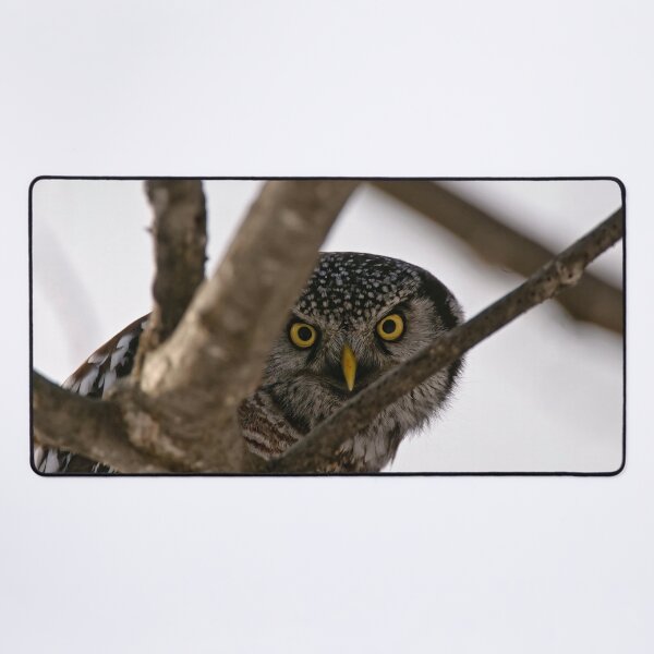 Item preview, Whooooose There designed and sold by Owl-Images.