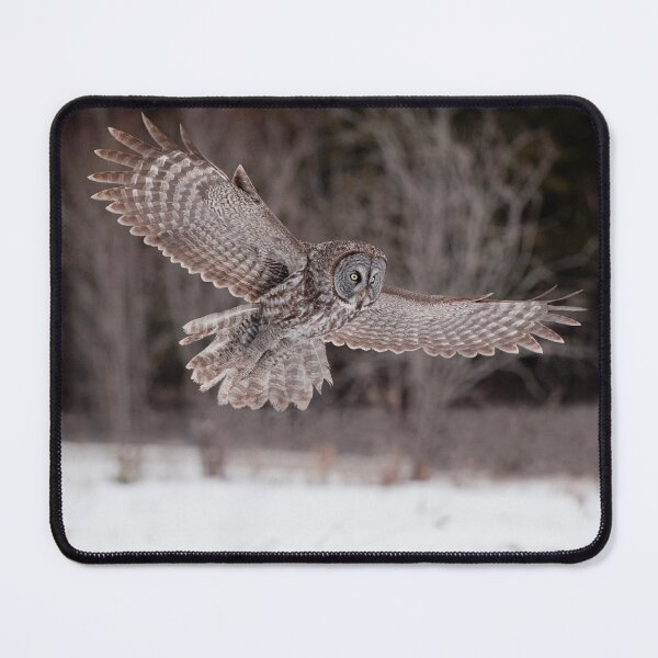 Item preview, Great Grey Owl designed and sold by Owl-Images.