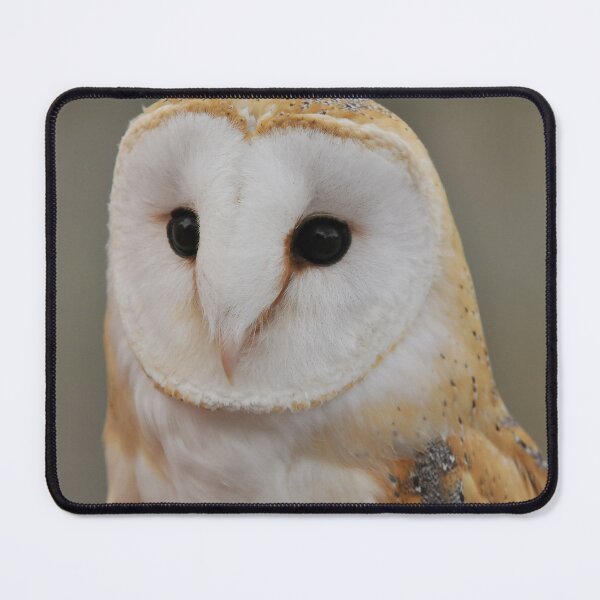 Item preview, Barn Owl designed and sold by Owl-Images.