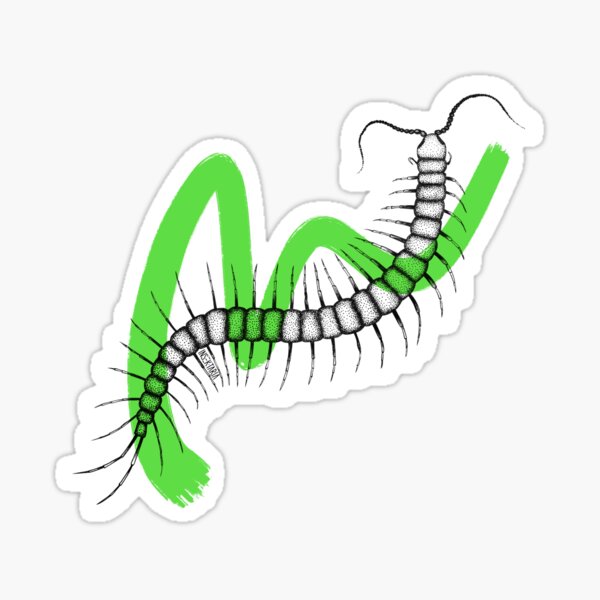 "Centipede" Sticker for Sale by Insektaria Redbubble