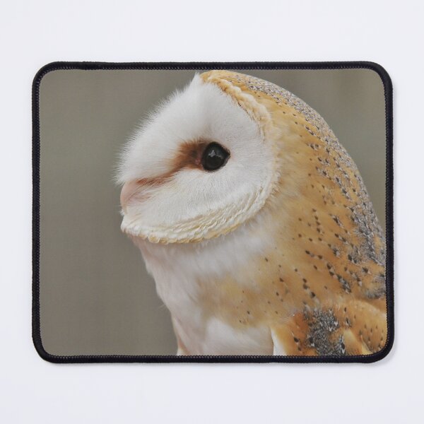 Item preview, Barn Owl Portrait designed and sold by Owl-Images.