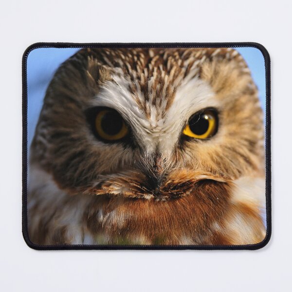 Item preview, Northern Saw-whet Owl designed and sold by Owl-Images.