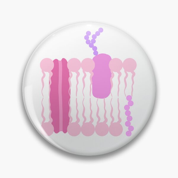 Item preview, Phospholipid Bilayer  designed and sold by princesssomo21.