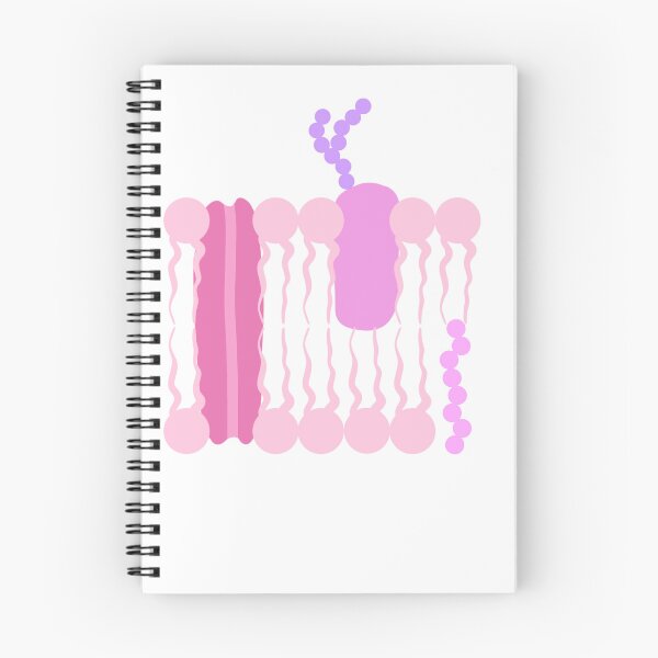Item preview, Phospholipid Bilayer  designed and sold by princesssomo21.
