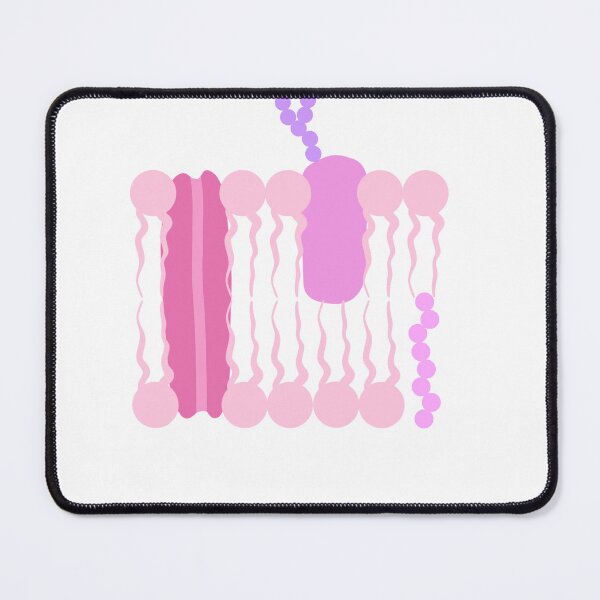 Item preview, Phospholipid Bilayer  designed and sold by princesssomo21.