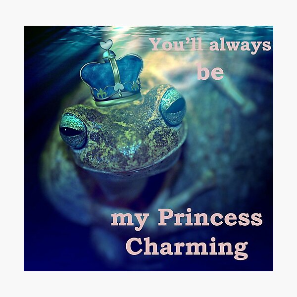 Item preview, Princess Charming designed and sold by Rebel-Lizzie.
