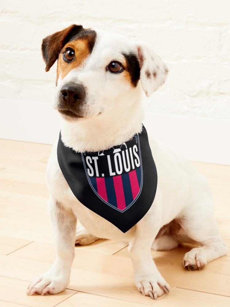St. Louis City SC Soccer Jersey Pet Bandana for Sale by heavenlywhale