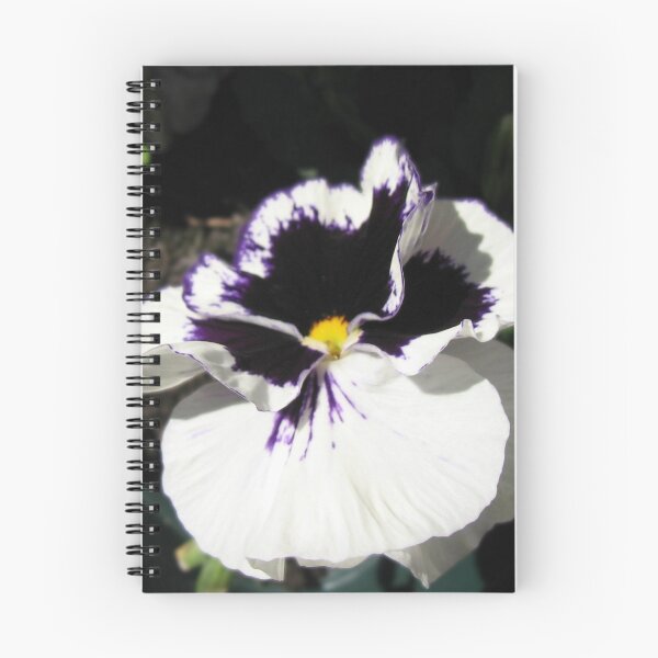 Item preview, Lil' Darlin - Pretty Little Pansy designed and sold by SunriseRose.
