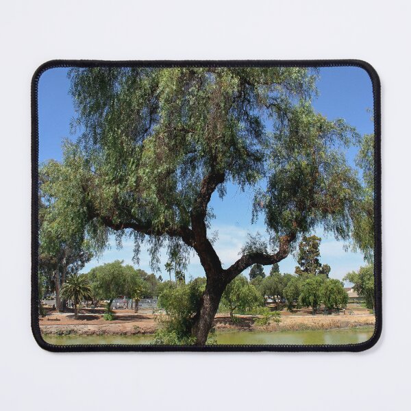 Item preview, Peaceful Lindo Lake Park designed and sold by heatherfriedman.