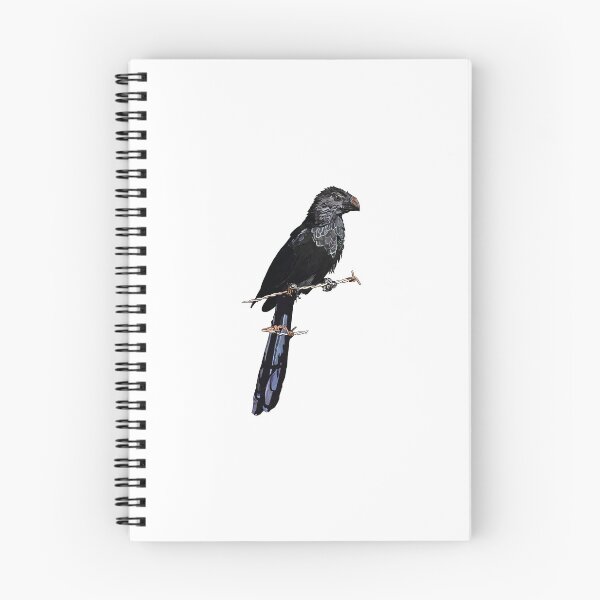 Artikelvorschau, Groove-billed Ani entworfen und verkauft von lkline97.