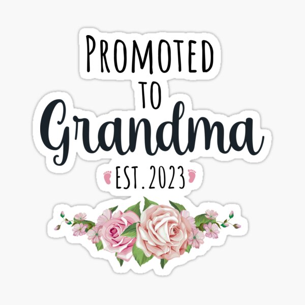 Welcome Granny Club Panties, Custom Gag Gift Exchange, Baby Shower,  Grandparent Reveal, Big Large Size, New Grandma, Ships TODAY, AGFT 050 -   Canada