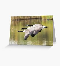 Formation Flying Greeting Card